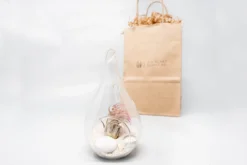 Gift Wrapped Terrarium Kits With Tillandsia Air Plants 12 Gift Wrapped Terrarium Kits With Tillandsia Air Plants -Air Plant Supply Store Air Plant Tillandsia Accessory 73 scaled