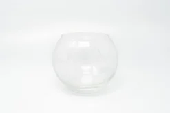 Complete Bubble Trio Terrariums With Tillandsia Juncea, Butzii, And Harrisii Air Plants -Air Plant Supply Store Air Plant Tillandsia Accessory Bubble Bowl Terrarium 2 scaled