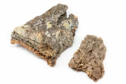 Natural Cork Bark Displays & Waterproof Glue - Create A Unique Vertical Garden Display! -Air Plant Supply Store Cork Bark 3 4b1d640e b04f 40d0 9ade de1df432a159 scaled