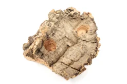 SALE - Small Tabletop Cork Bark Display With 2 Tillandsia Air Plants - Set Of 3 Or 6 - 40% Off -Air Plant Supply Store Cork Bark Display 3 scaled