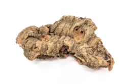 SALE - Small Tabletop Cork Bark Display With 2 Tillandsia Air Plants - Set Of 3 Or 6 - 40% Off -Air Plant Supply Store Cork Bark Display 6 scaled