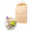 Gift Wrapped Terrarium Kits With Tillandsia Air Plants