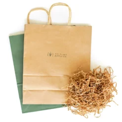 Gift Wrapped Air Plant Grab Bag Of 10 Small & Medium Plants, Tillandsia Fertilizer & Air Plant Mister -Air Plant Supply Store Gift Bag d4028dc8 105f 41b1 9344 7370adc3f3af