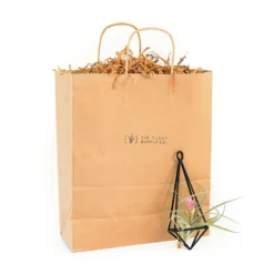 Gift Wrapped Hanging Metal Pendant With Assorted Tillandsia Air Plants