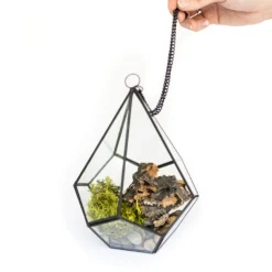 DIY Glass Diamond Terrarium -Air Plant Supply Store Glass Diamond Terrarium Kit 1