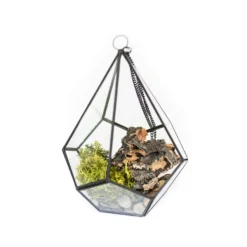 Glass Diamond Terrarium -Air Plant Supply Store Glass Diamond Terrarium Kit 2