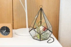 DIY Glass Diamond Terrarium -Air Plant Supply Store Hotel Lifestyle Wholesale 30 scaled