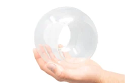 Large Hand-Blown Glass Terrarium With Tillandsia Caput Medusae & Harrisii -Air Plant Supply Store LargeHand BlownGlassTerrariumwith2OpenEnds min 1 scaled