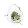 Large White Ceramic Hanging Pod With Tillandsia Xerographica