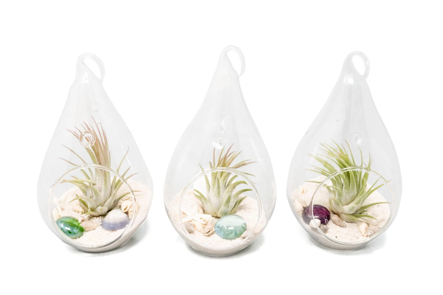 SALE - Set Of 3 Teardrop Beach Terrariums With White Sand 1 SALE - Set Of 3 Teardrop Beach Terrariums With White Sand