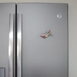 Set Of 3 Seashell Magnets With Tillandsia Air Plants 7 Set Of 3 Seashell Magnets With Tillandsia Air Plants -Air Plant Supply Store Shell Magnet Tillandsia Air Plant 6