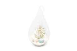 Teardrop Beach Terrarium With White Sand