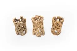 SALE - Natural Cholla Wood Containers With Assorted Tillandsia Air Plants - Set Of 3 - 20% Off -Air Plant Supply Store Tillandsia Air Plant Cholla Wood 3 d473ad8c f56b 4bc8 8632 5ccc02762e0a scaled