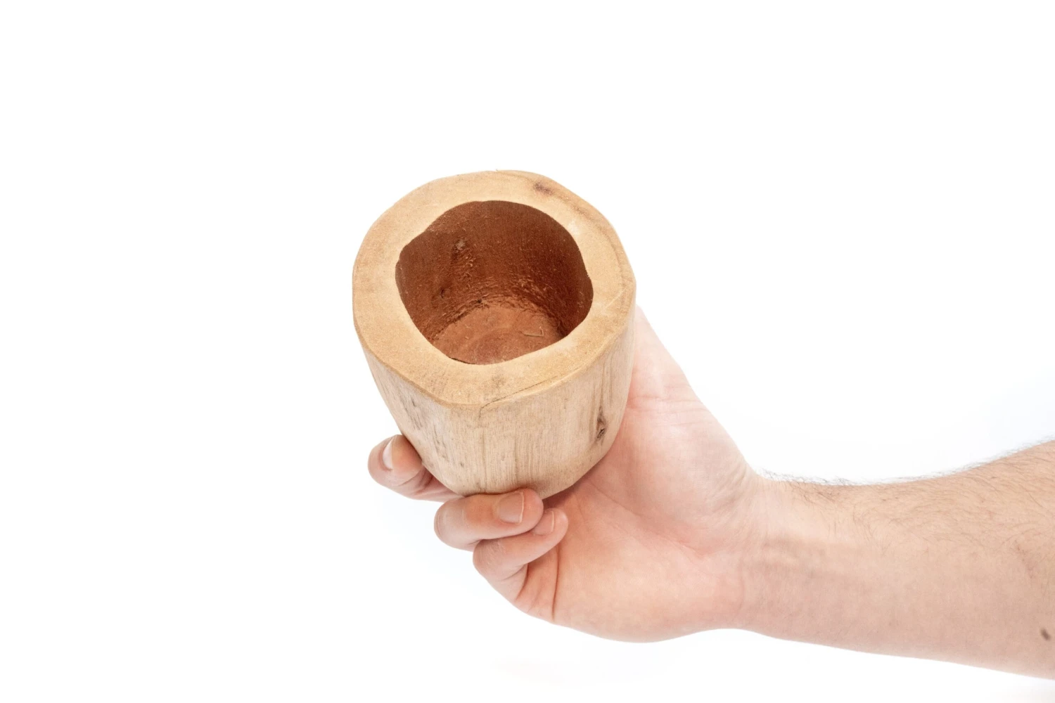 Large Driftwood Container - Choose Your Custom Tillandsia Air Plant 10 Large Driftwood Container - Choose Your Custom Tillandsia Air Plant - Image 10