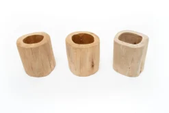 Set Of 3 Large Driftwood Containers With Custom Tillandsia Air Plants -Air Plant Supply Store Tillandsia Air Plant Driftwood Container 2 72f7e390 704f 4809 a12e 6b7ba5493cad scaled