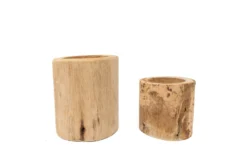 Driftwood Tillandsia Air Plant Or Succulent Container