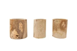 Driftwood Tillandsia Air Plant Or Succulent Container -Air Plant Supply Store Tillandsia Air Plant Driftwood Container Display 3 b488ddad a79d 4f35 8d48 d3c178f19fc6 scaled