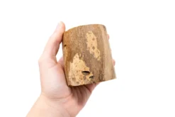 Small Driftwood Container - Choose Your Custom Tillandsia Air Plant -Air Plant Supply Store Tillandsia Air Plant Driftwood Container Display 7 6d2f5b30 b8f8 4c8e 8167 0b4c99819e08 scaled