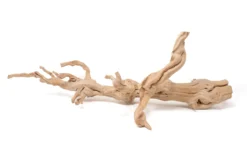 Large Multi-Branched Grapewood Display - Choose Custom Tillandsia Air Plants -Air Plant Supply Store Tillandsia Air Plant Grapevine Wood Display Large Multiple 12 2 scaled