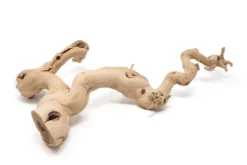 Grapewood Display - Multiple Sizes - With Or Without Tillandsia Air Plants -Air Plant Supply Store Tillandsia Air Plant Grapevine Wood Display Large Multiple 4 1 scaled