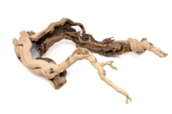 Large Multi-Branched Grapewood Display - Choose Custom Tillandsia Air Plants -Air Plant Supply Store Tillandsia Air Plant Grapevine Wood Display Large Multiple 8 1 scaled