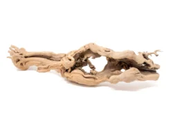 Large Single Branch Grapewood Display With 4 Assorted Tillandsia Air Plants -Air Plant Supply Store Tillandsia Air Plant Grapevine Wood Display Large Single 6 1 scaled