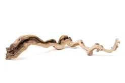 Grapewood Display - Multiple Sizes - With Or Without Tillandsia Air Plants -Air Plant Supply Store Tillandsia Air Plant Grapevine Wood Display Medium Single 6 1 scaled