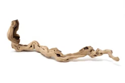 Medium Single Branch Grapewood Display - Choose Custom Tillandsia Air Plants -Air Plant Supply Store Tillandsia Air Plant Grapevine Wood Display Medium Single 9 scaled