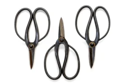 Bonsai-Style Pruning Scissors For Tillandsia Air Plants -Air Plant Supply Store Tillandsia Air Plant Scissors Tools 1 2 scaled