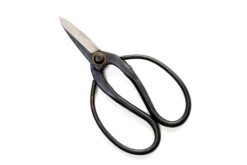 Bonsai-Style Pruning Scissors For Tillandsia Air Plants -Air Plant Supply Store Tillandsia Air Plant Scissors Tools 3 scaled