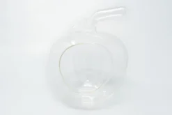 Apple Terrarium With Pebble Kit And Tillandsia Air Plants 7 Apple Terrarium With Pebble Kit And Tillandsia Air Plants -Air Plant Supply Store Tillandsia Air Plant Terrarium Apple 2 scaled