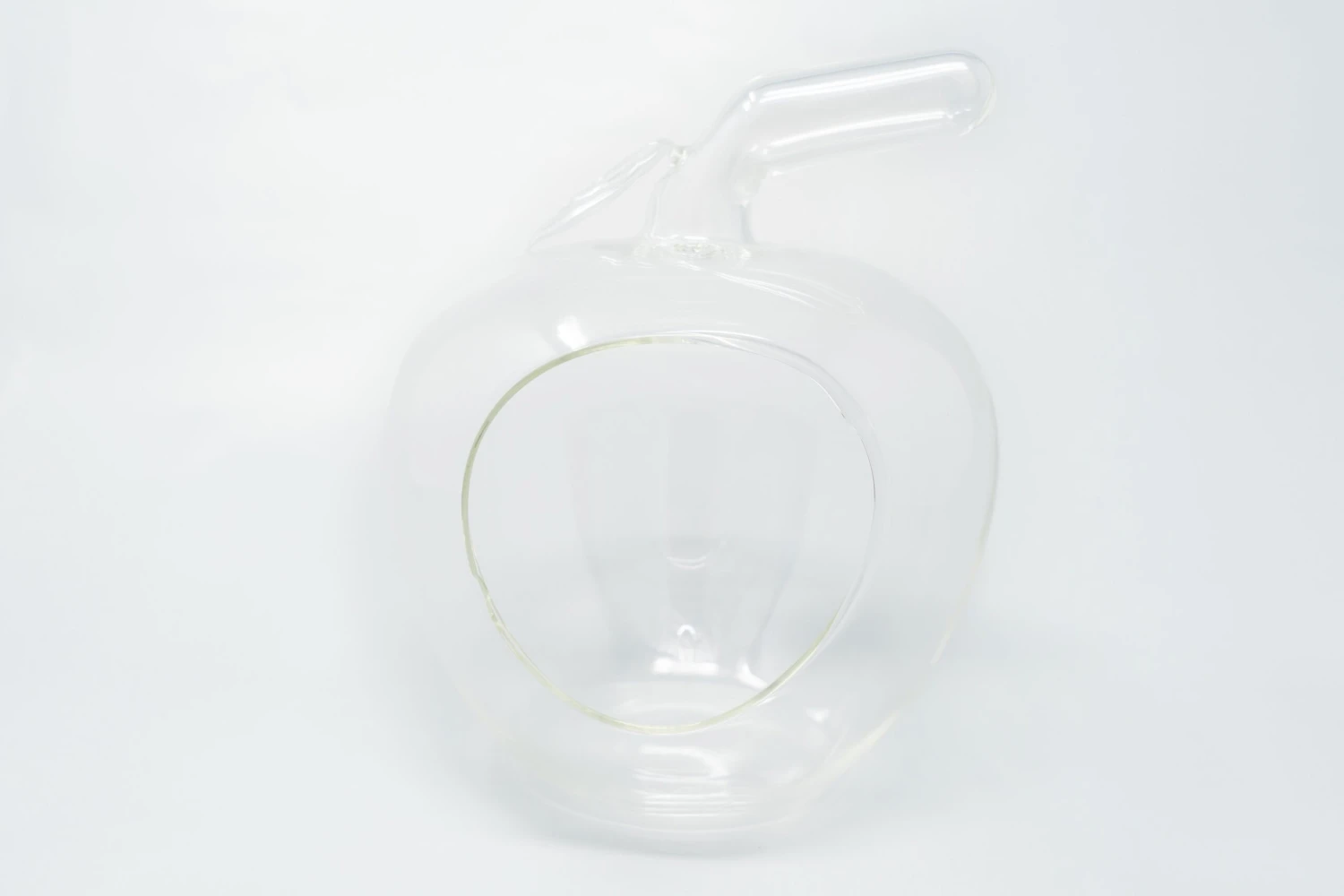 Apple Terrarium With Pebble Kit And Tillandsia Air Plants 4 Apple Terrarium With Pebble Kit And Tillandsia Air Plants - Image 4