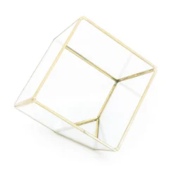 Heptahedron Geometric Glass Terrarium - Gold Metallic Finish - Trendy Holder For Tillandsia Air Plants 10 Heptahedron Geometric Glass Terrarium - Gold Metallic Finish - Trendy Holder For Tillandsia Air Plants -Air Plant Supply Store Tillandsia Air Plant Terrarium Heptahedron Geometric Glass 1 scaled