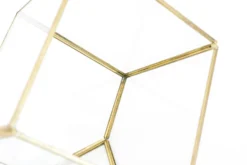 Heptahedron Geometric Glass Terrarium - Gold Metallic Finish - Trendy Holder For Tillandsia Air Plants 13 Heptahedron Geometric Glass Terrarium - Gold Metallic Finish - Trendy Holder For Tillandsia Air Plants -Air Plant Supply Store Tillandsia Air Plant Terrarium Heptahedron Geometric Glass 3 scaled
