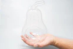 Pear Terrarium With Pebble Kit And Tillandsia Air Plants -Air Plant Supply Store Tillandsia Air Plant Terrarium Pear 2 scaled