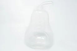 Pear Terrarium With Pebble Kit And Tillandsia Air Plants -Air Plant Supply Store Tillandsia Air Plant Terrarium Pear 3 scaled